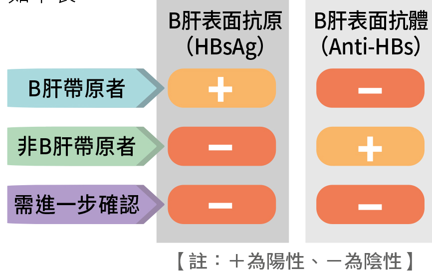 一次搞懂B肝帶原、慢性B型肝炎、 B型肝炎急性發作！ - 秤子維的秘密花園 - Udn部落格