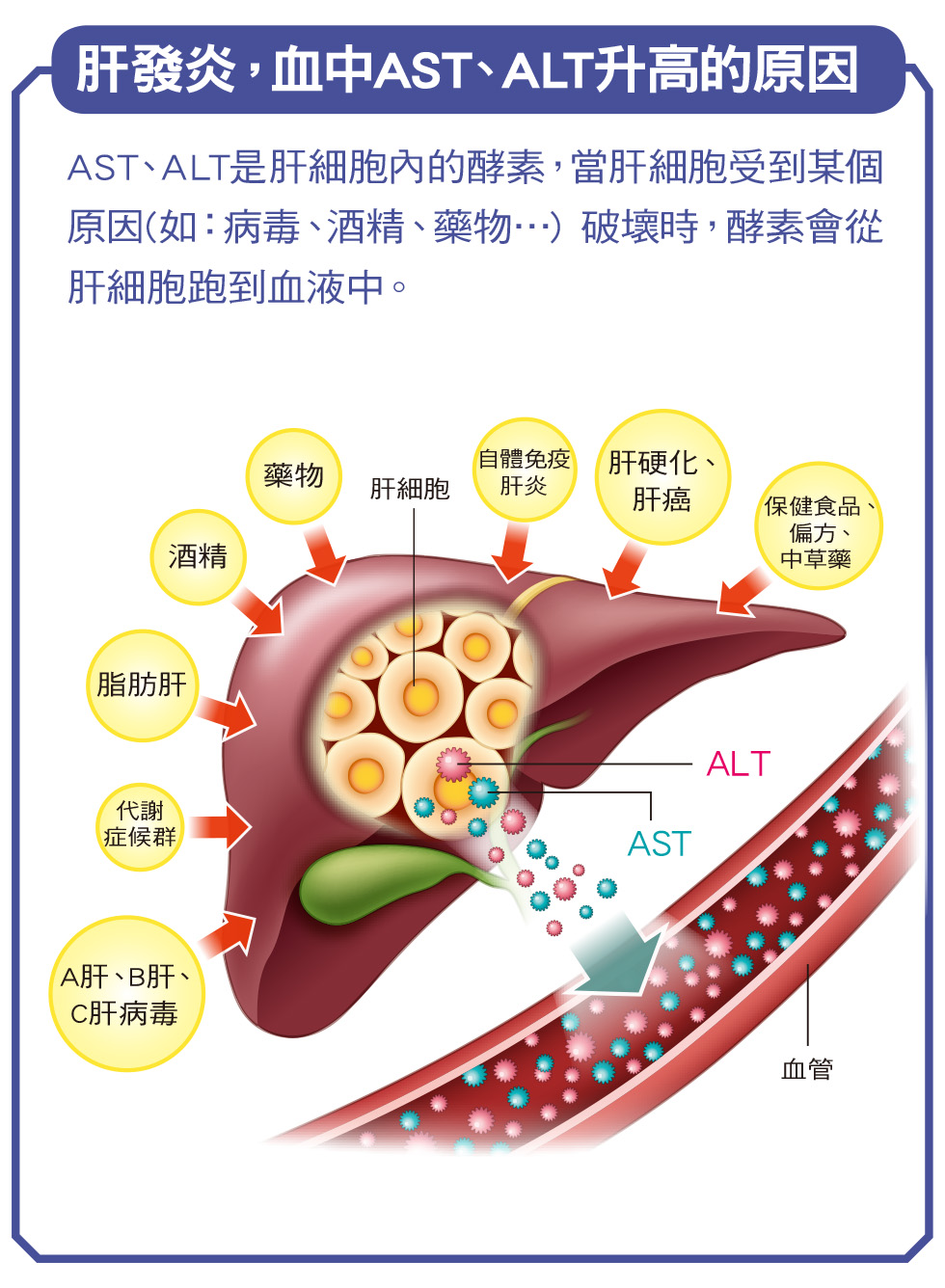 好心肝會刊| 肝基會